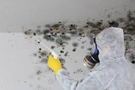 Mold Remediation for Vacation Homes in Valatie, NY